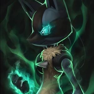 Meet your Posher, Stephen